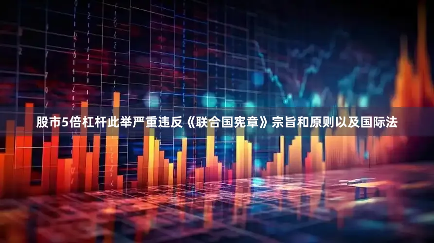 股市5倍杠杆此举严重违反《联合国宪章》宗旨和原则以及国际法