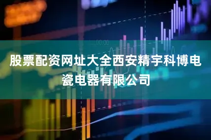 股票配资网址大全西安精宇科博电瓷电器有限公司