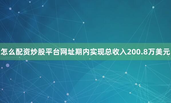 怎么配资炒股平台网址期内实现总收入200.8万美元