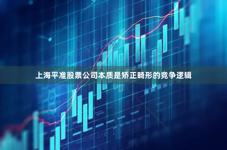 上海平准股票公司本质是矫正畸形的竞争逻辑