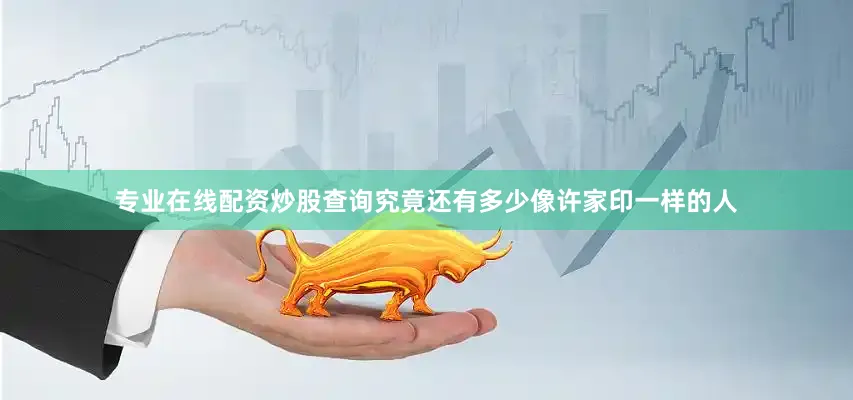 专业在线配资炒股查询究竟还有多少像许家印一样的人