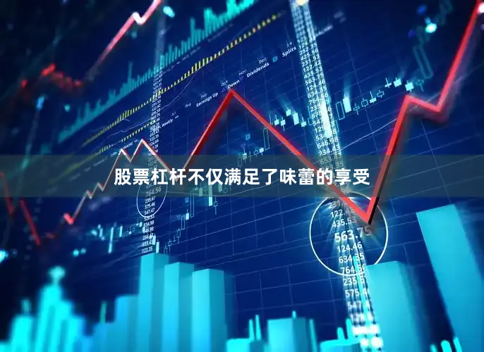 股票杠杆不仅满足了味蕾的享受